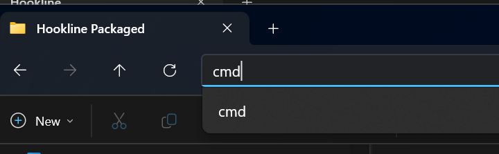 Typing cmd in the address bar