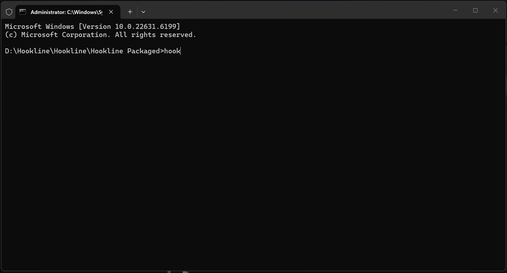 Typing hook in the terminal